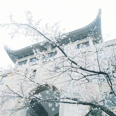 赢博体育APP(官方)综合娱乐APP下载 v{randstr type=